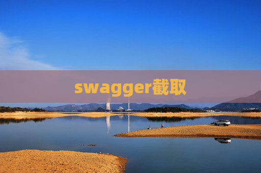 swagger截取